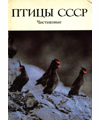 «Птицы СССР. Чистиковые.» Москва: издательство Наука, 1989. Авторы: А. Н. Головкин, Н. Б. Конюхов, Н. Н. Скокова, Е. Э. Стоцкая, И. П. Татаринкова, С. П. Харитонов, Ю. В. Шибаев, В. А. Зубакин. «Птицы СССР. Чистиковые.» Москва: издательство Наука, 1989. Авторы: А. Н. Головкин, Н. Б. Конюхов, Н. Н. Скокова, Е. Э. Стоцкая, И. П. Татаринкова, С. П. Харитонов, Ю. В. Шибаев, В. А. Зубакин.